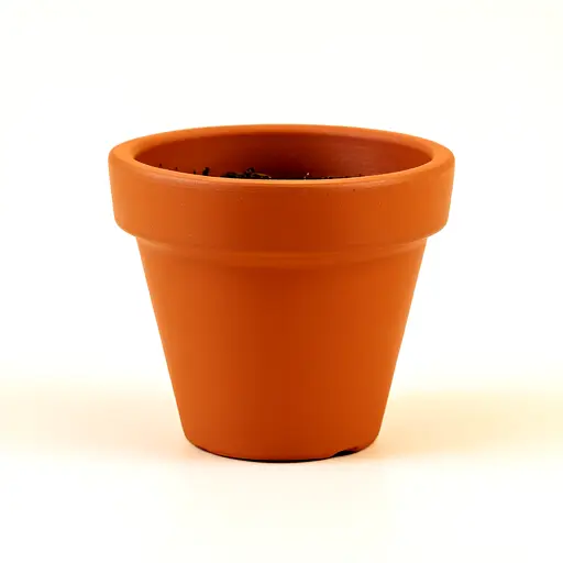 Terracotta Seedling Pot