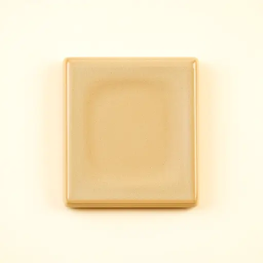 Ceramic Wall Plate