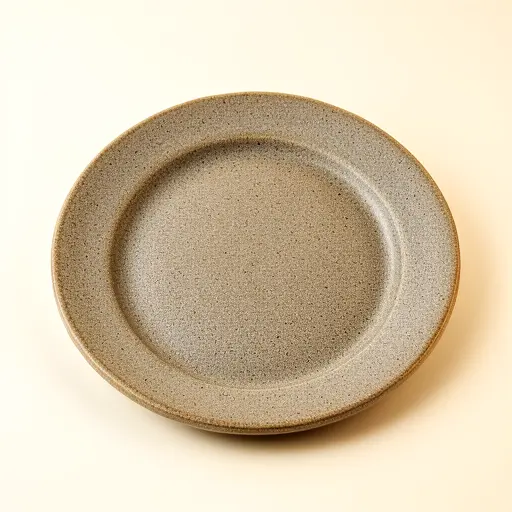 Stoneware Dinner Plate
