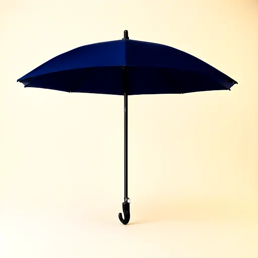 Compact Umbrella Navy