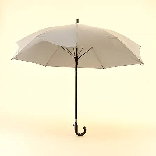 Compact Umbrella Plain