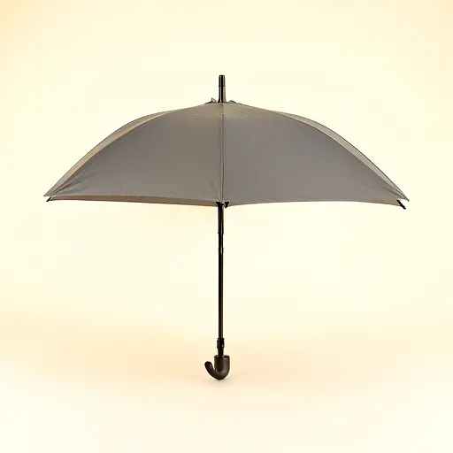 Compact Umbrella Dome