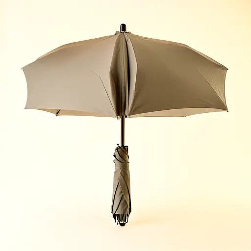Travel Umbrella Auto Fold
